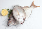 Fresh Seafood Large Porgies - Whole, 1 pound