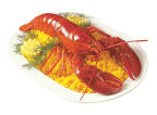 ShopRite Whole Cooked Lobsters, 1 pound