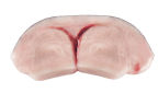 Fresh National Atlantic Swordfish, 1 pound