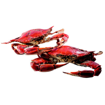 ShopRite Fresh Live Crabs, 6 each