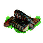 Frozen Seafood Department Lobster Tails, 1 each