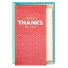 Hallmark Thank You Card (You're Appreciated), 1 each