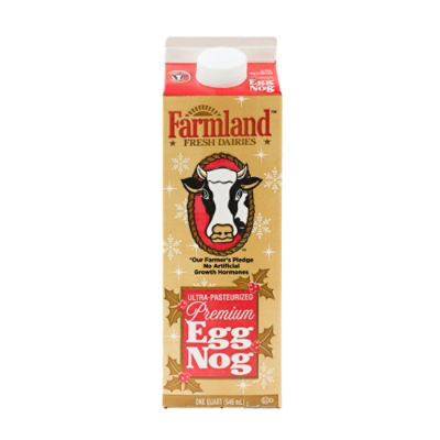 Dairy-Free Eggnog - Eating Bird Food