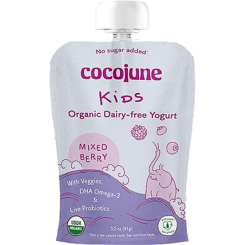 cocojune Kids Pouch - Mixed Berry OG Dairy Free Yogurt