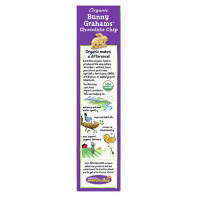 Annie's™ Organic Friends Bunny Chocolate Chip and Honey Graham