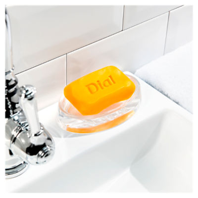 Dial deals soap bar