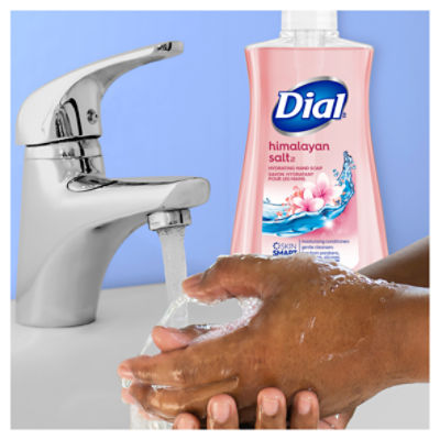 Dial himalayan salt discount hand soap refill