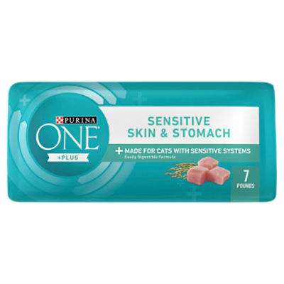 Purina ONE Sensitive Stomach Sensitive Skin Natural Dry Cat Food