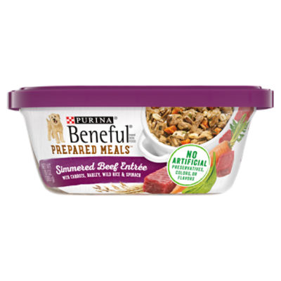 Purina Beneful High Protein Wet Dog Food, Prepared Meals Simmered Beef Entree - 10 oz. Tub