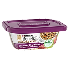 Purina Beneful Prepared Meals Wet Dog Food Simmered Beef Entree 10 oz. Plastic Tub, 10 Ounce