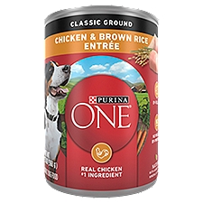 Purina ONE Classic Ground Chicken and Brown Rice Entree Adult Wet Dog Food - 13 oz. Can