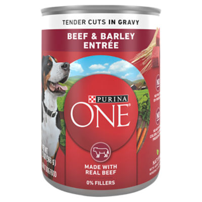 Purina ONE Tender Cuts in Gravy Beef & Barley Entrée Adult Dog Food, 13 oz, 13 Ounce