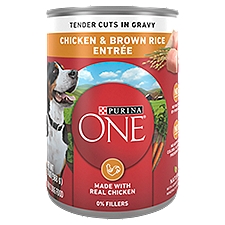 Purina One SmartBlend Chicken & Brown Rice Entrée Tender Cuts in Gravy Adult Dog Food, 13 oz