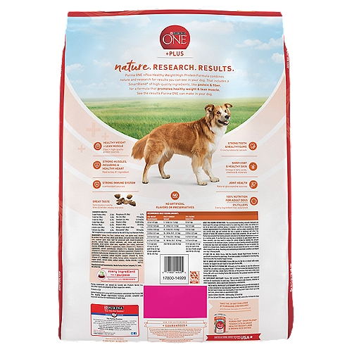 Protein Dog Food Dry Formula
