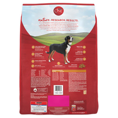 Purina one best sale chicken dog food