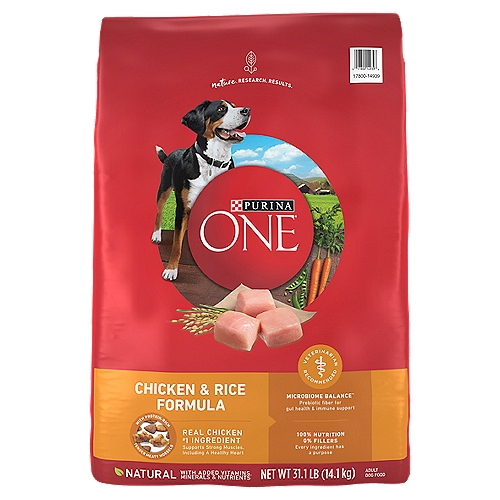 Purina ONE Natural Dry Dog Food, SmartBlend Chicken & Rice Formula - 31.1 lb. Bag