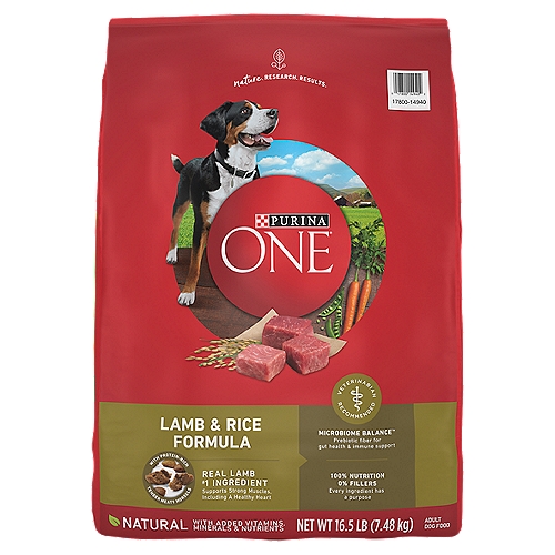 Purina ONE Dry Dog Food Lamb and Rice Formula - 16.5 lb. Bag