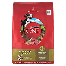 Purina ONE SmartBlend Lamb & Rice Formula Adult Dog Food, 31.1 lb