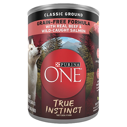Purina ONE True Instinct Classic Ground Real Beef and Salmon High Protein Wet Dog Food - 13 oz. Can
