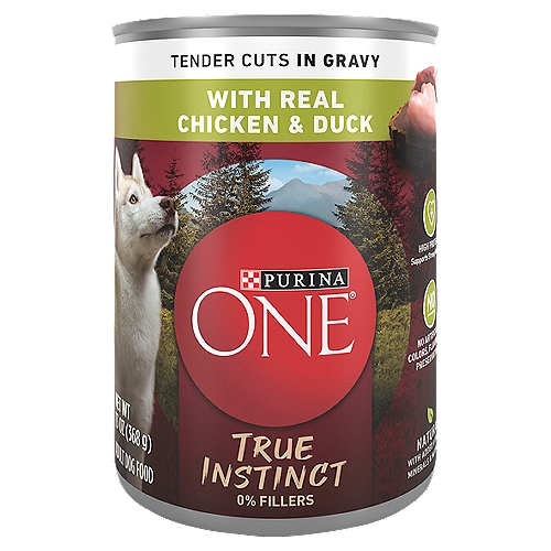 Purina ONE High Protein Wet Dog Food True Instinct Tender Cuts Gravy With Chicken and Duck-13oz. Can