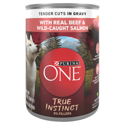 Purina ONE Tender Cuts in Gravy with Real Beef & Wild-Caught Salmon Adult Dog Food, 13 oz, 13 Ounce
