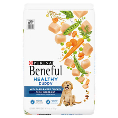 Purina Beneful Healthy Puppy With Farm-Raised Chicken Dry Puppy Dog Food - 14 lb. Bag, 14 Pound