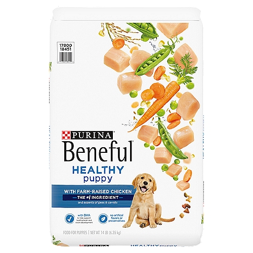 Purina Beneful Healthy Puppy With Farm-Raised Chicken Dry Puppy Dog Food - 14 lb. Bag