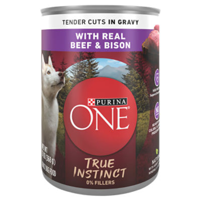 Purina ONE Natural Wet Dog Food Gravy True Instinct Tender Cuts