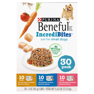 Purina beneful best sale canned dog food