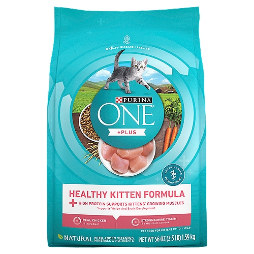 Purina ONE +Plus Healthy Kitten Formula Cat Food for Kitten, Up to 1 Year, 56 oz