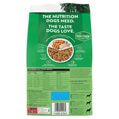 Purina dog store chow green bag