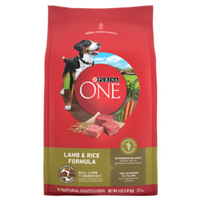 Purina ONE Dry Dog Food Lamb and Rice Formula 4 lb. Bag