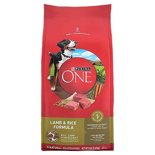 Purina ONE Dry Dog Food  Lamb and Rice Formula - 8 lb. Bag