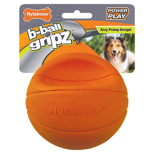 Nylabone Power Play B-Ball Gripz Dog Toy
