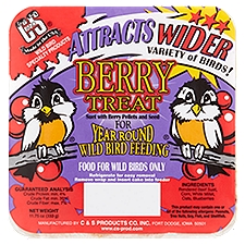 C&S Berry Treat Suet, Bird Food, 11.75 Ounce