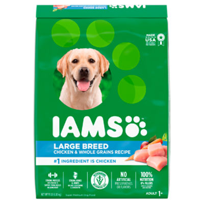 Large breed outlet iams