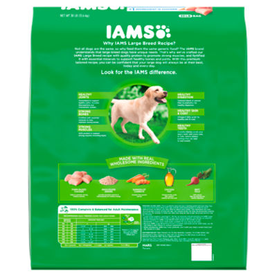 Iams dog 2024 food yellow bag