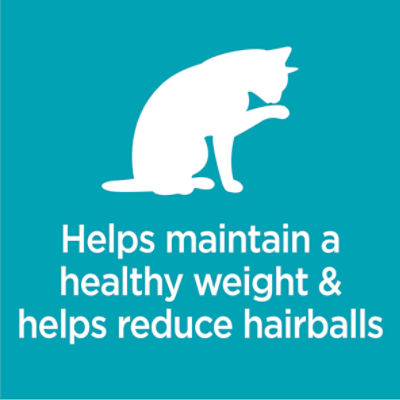 Iams cat clearance hairball