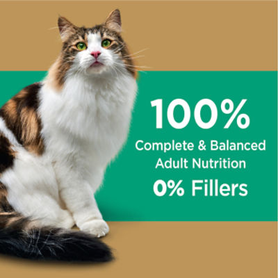 Long hair cat food sales