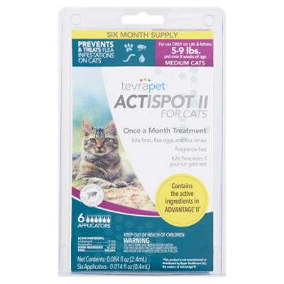 6 month flea treatment for cats sale