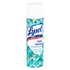 Lysol Brand New Day Coconut Water & Sea Minerals Scent Disinfectant Spray, 19 oz