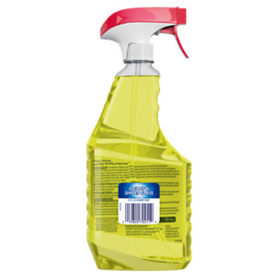 Windex disinfectant deals cleaner