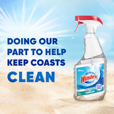 Windex® with Vinegar Glass Cleaner, Spray Bottle, 23 fl oz