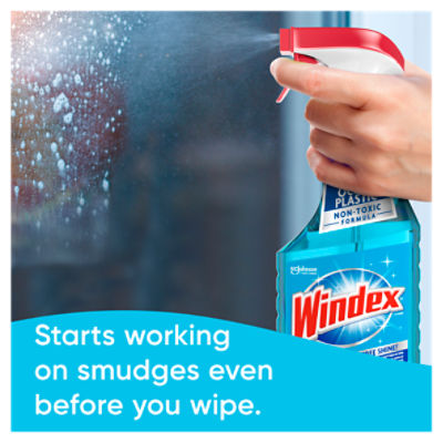 Windex® Glass Window Cleaner, Original Blue, Spray Bottle, 23 fl oz 