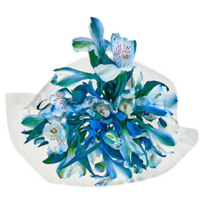 Assorted Blue Flower Bunches