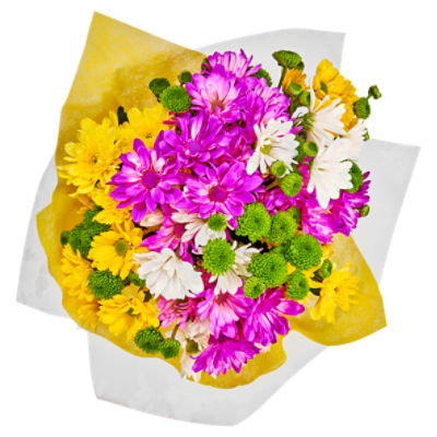 The Floral Shoppe Jumbo Poms Bunch, 1 Each