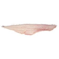 Fresh Fillet of Chilean Whiting, 1 pound