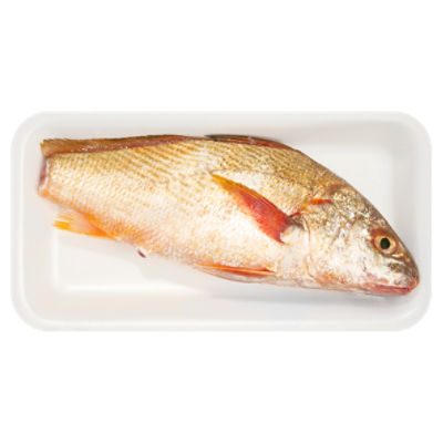 Fresh Seafood Croakers - Whole, 1 pound