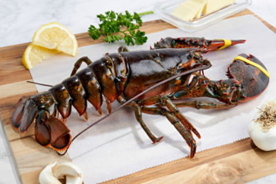 Fresh Wild Caught Live Lobsters, 2-4 Pound Average