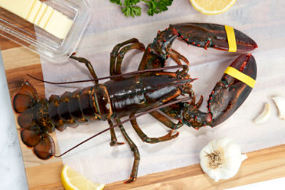 Fresh Wild Caught Live Lobsters, 2-4 Pound Average